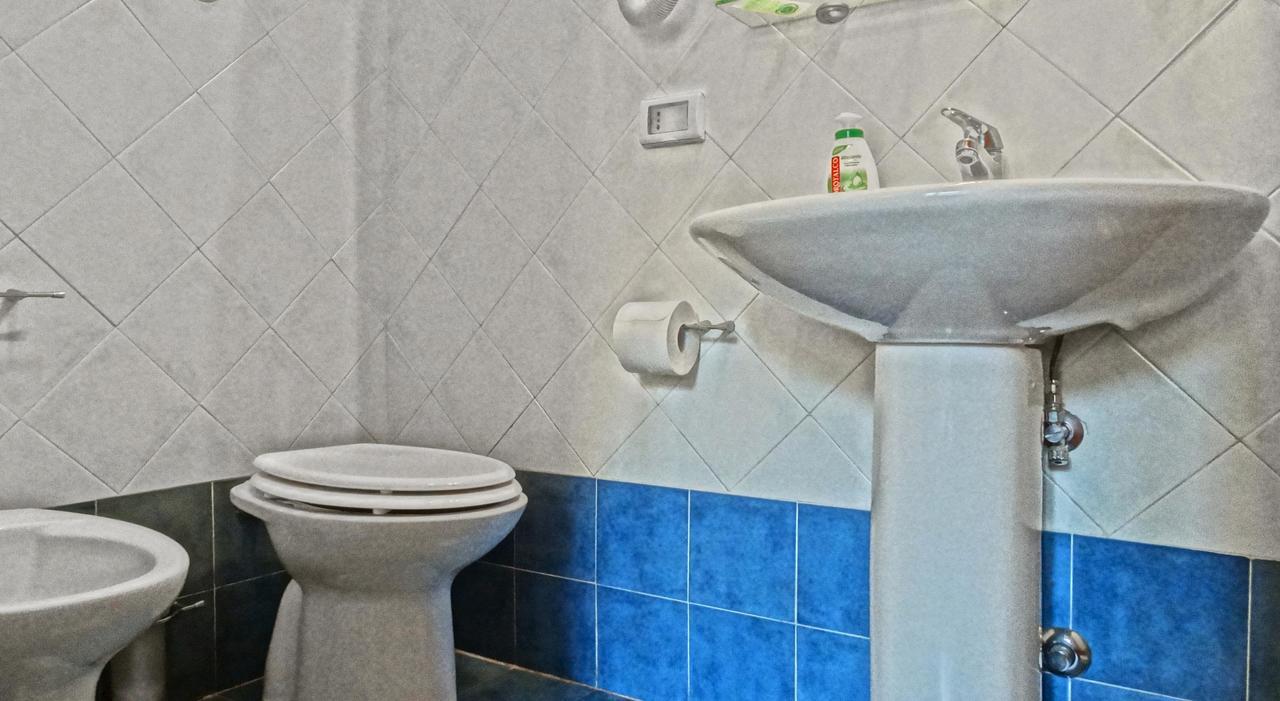 Alojamento de Acomodação e Pequeno-almoço House